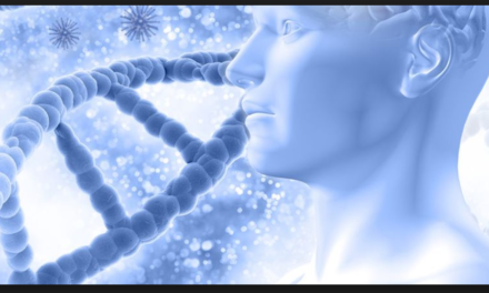 Cell Therapy Foundation