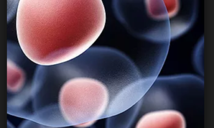 Houston Stem Cell Medical Center