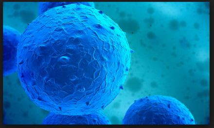 Michigan Stem Cell Institute