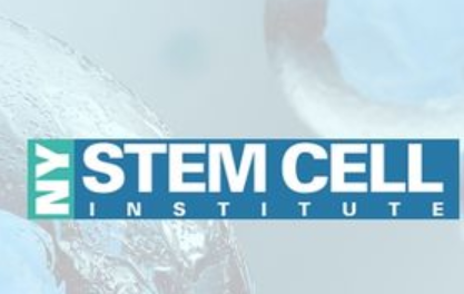 NYC Stem Cell Institute