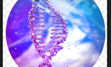 North Central Stem Cell Clinic