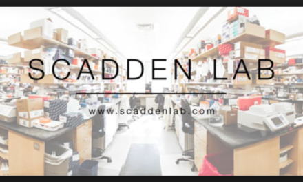 Scadden David MD