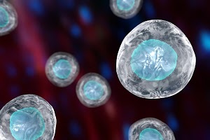 TruStem Cell Therapy™