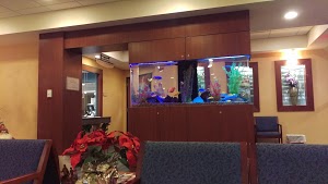 Advanced Orthopedic Specialists