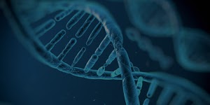 Park Avenue Stem Cell Therapy
