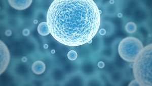 National Stem Cell Centers