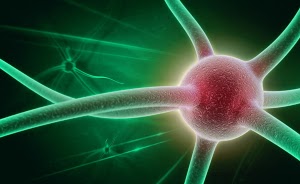 Natureworks Therapeutics