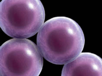 Stem cell therapy becoming superior treatment for Parkinson’s disease